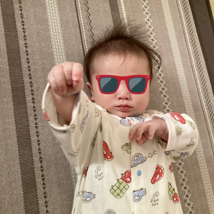 イップマン（ドニー・イェン）の詠春拳の構えをする乳児