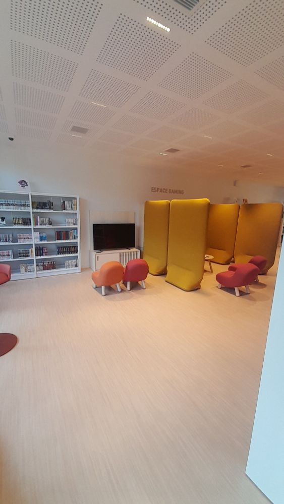 Photo de l'espace gaming : des mobiliers acidulés, un grand écran de télé, une étagère avec des mangas.