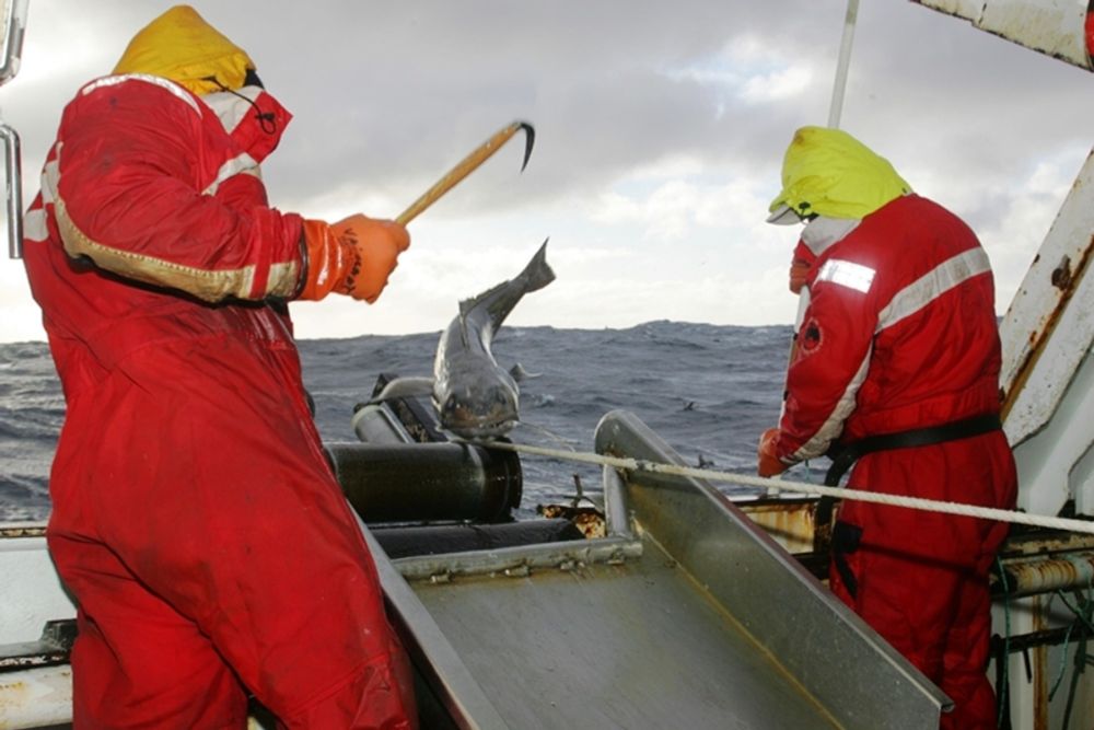 Pêcherie de légine de Kerguelen et de Crozet dans les TAAF