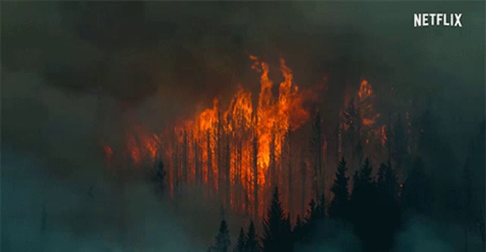 a netflix ad shows a fire burning through the trees