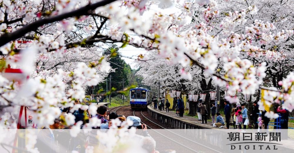 「あの時何をしたら…」避難所の性被害　行動する傍観者でいるために：朝日新聞デジタル