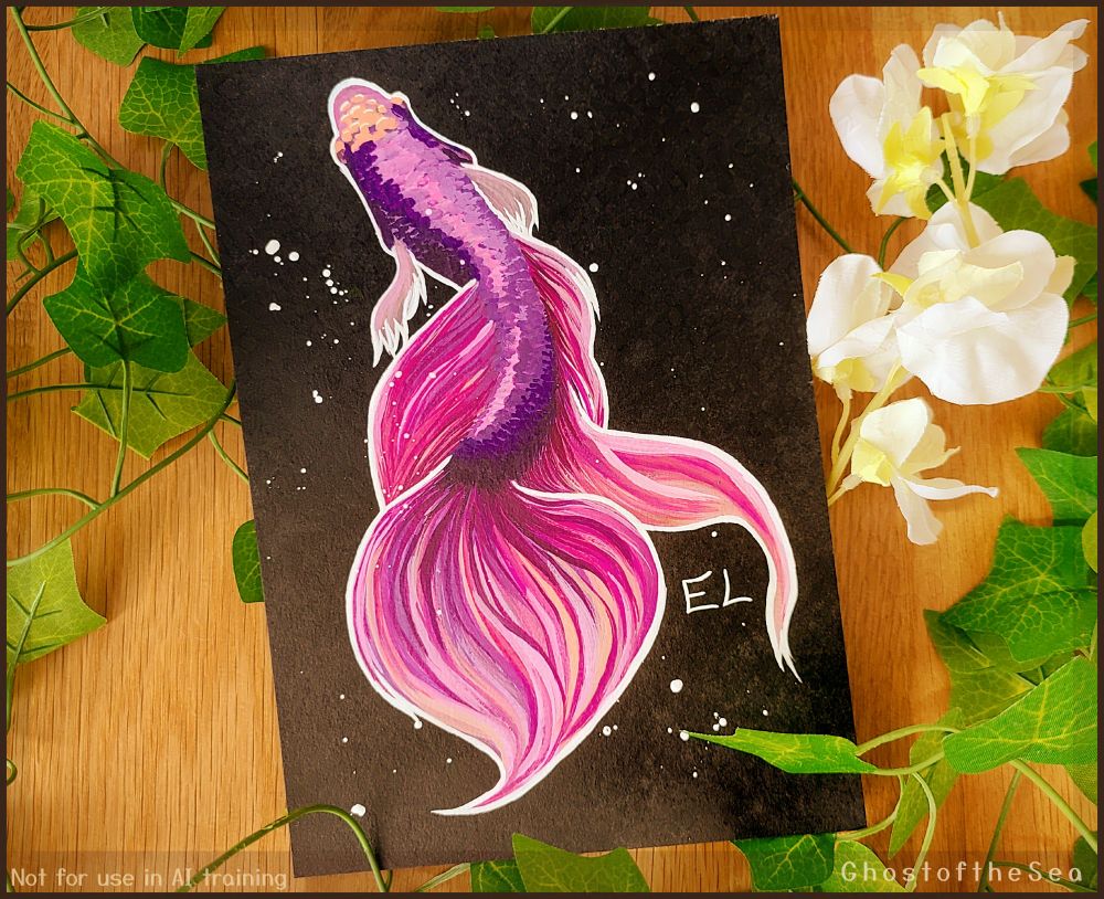 Photo of a painting of a pink and purple betta fish viewed from above. It is painted with gouache on black paper, with splatters of white paint. In the background is wood grain and artificial plants.