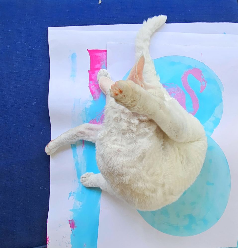 A white cat licking itself while seated upon a stack of art prints. 