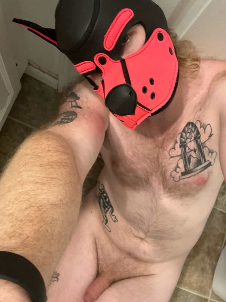 Bathroom selfie, naked on da floor. Givin a gay ass head tilt with my pink closed pup hood on