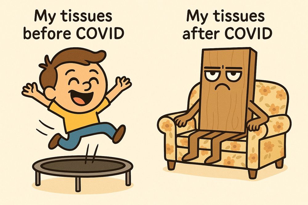 Two-panel cartoon. Left panel: a happy child bounces energetically on a trampoline with the caption “My tissues before COVID.” Right panel: a stiff, grumpy wooden plank with arms and legs sits on a floral sofa, captioned “My tissues after COVID.”