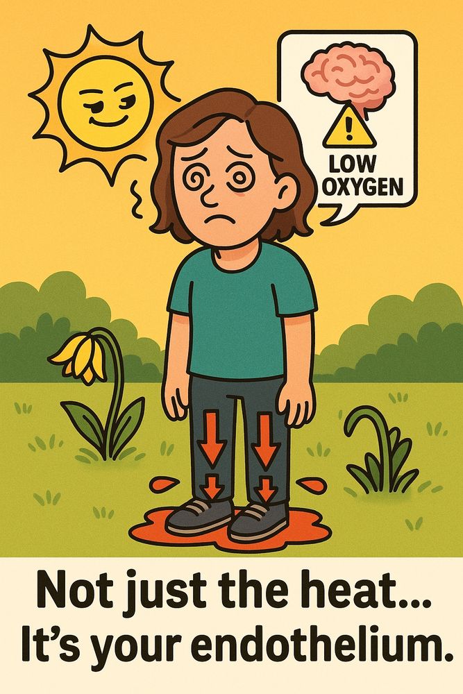 Cartoon illustration of a dizzy person standing in the sun, with spirals in their eyes, a sad expression, and red arrows pointing downward on their legs to show blood pooling. A speech bubble shows a brain with a warning sign and the words “LOW OXYGEN.” The sun looks smug, and a wilted flower beside the person reinforces the theme. Text at the bottom reads: “Not just the heat… It’s your endothelium