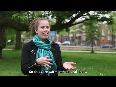 The Amsterdam Living Lab  - Citizen Science on Indoor Heat