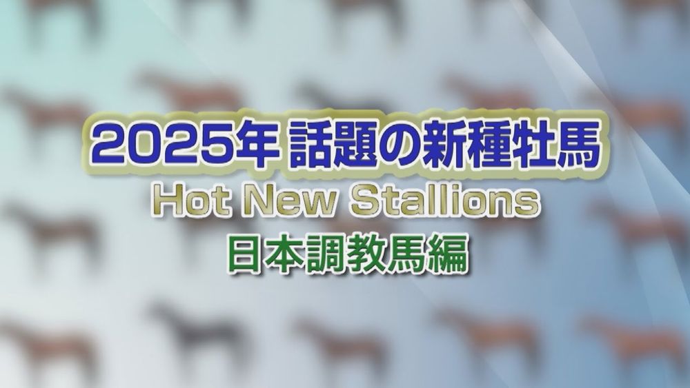 2025 新種牡馬紹介（日本調教馬編） | JRA公式