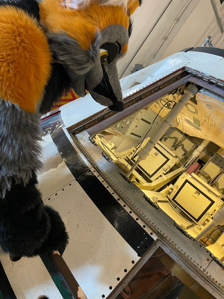Close on Tryk the cross Fox’s head and arms as he peers into a lunar lander module through a yellow-tinted window. 