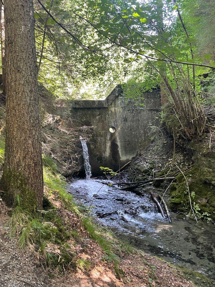 Ein massives Betonwehr mit einem runden Loch, aus dem Wasser strömt. Das ist schon keine Unterbrechung mehr, das ist quasi der Neuanfang eines Baches.