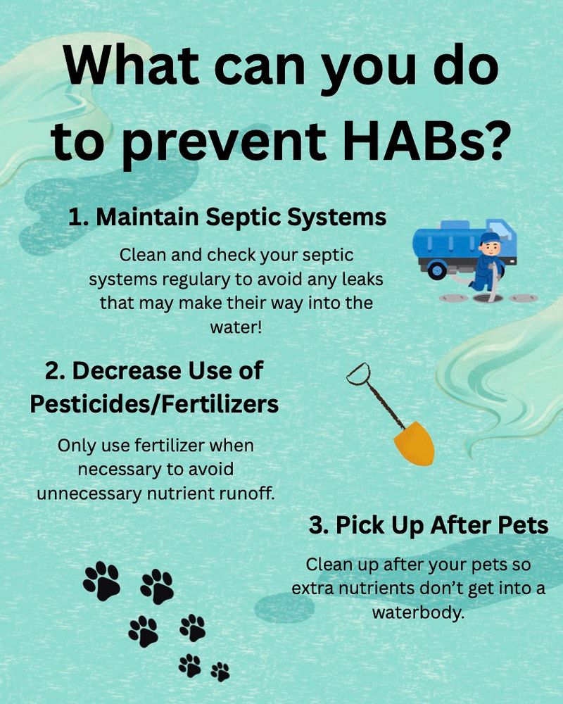 Graphic showing how you can prevent Harmful Algal Blooms: Maintain your septic system, decrease the use of pesticides and fertilizers, and pick up after your pets. 