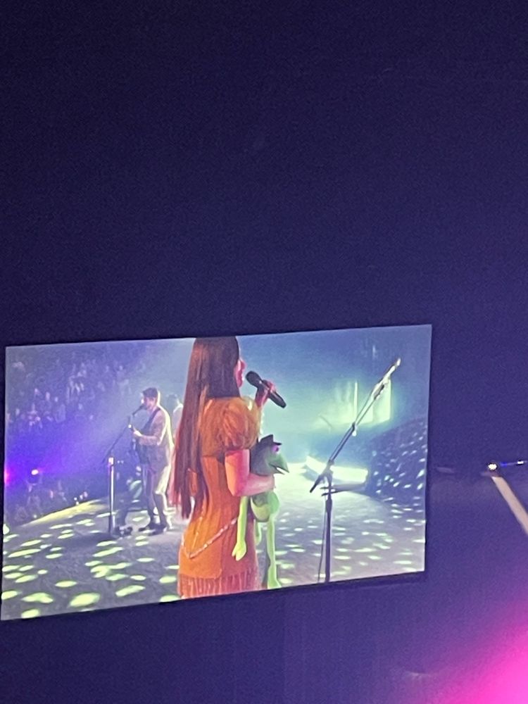 Kacey Musgraves holding Cowboy Kermit onstage for High Horse