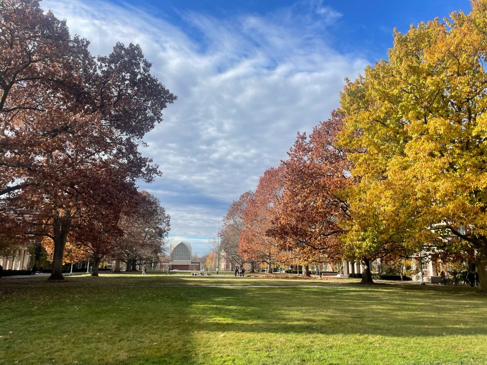 Colorful leaves in front of a long green quad