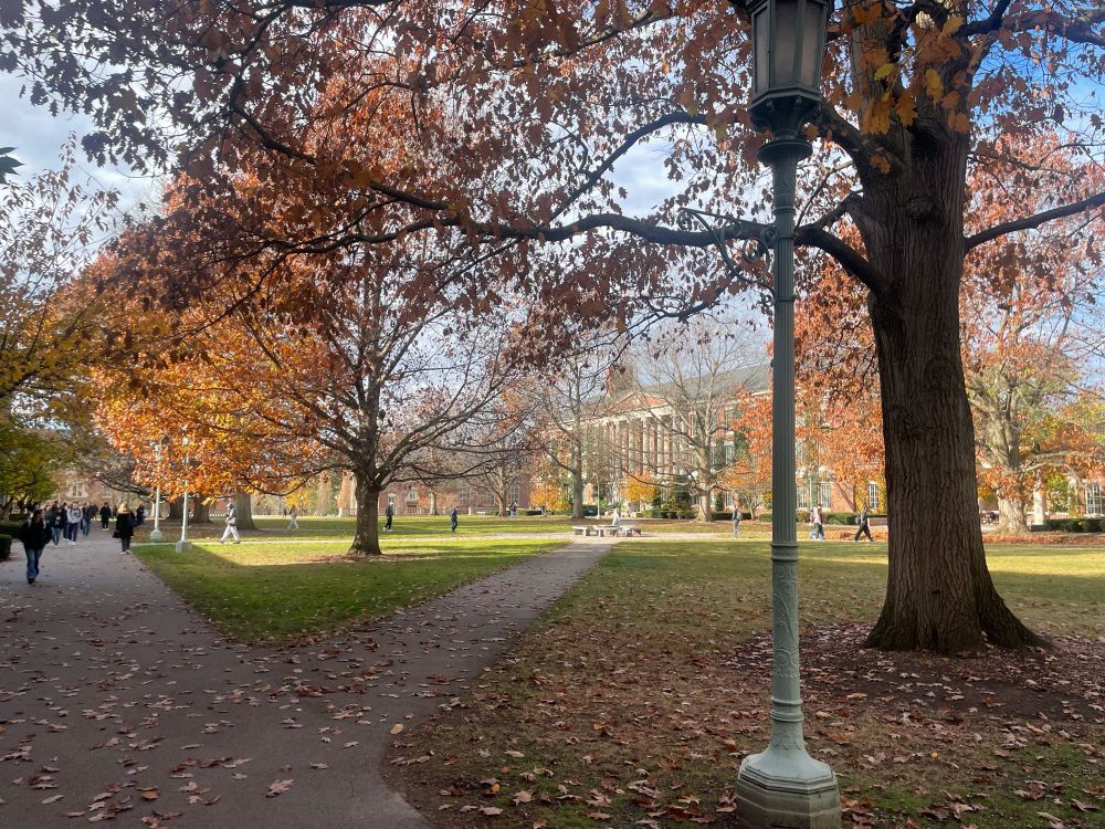 Leaves covering the quad on a school campus