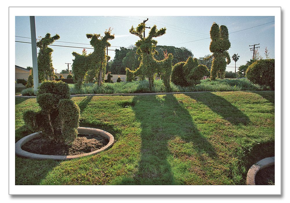 Use Google maps enter the GPS and go to street view and look in indicated direction to see same POV today, 24 years later. Topiary located at- Best Western Plus Stovall’s Inn at Katella Ave. & West St. in Anaheim, Ca.