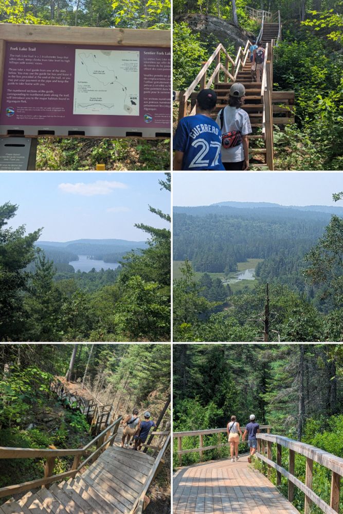 A collection of photos from a trail in Algonquin park