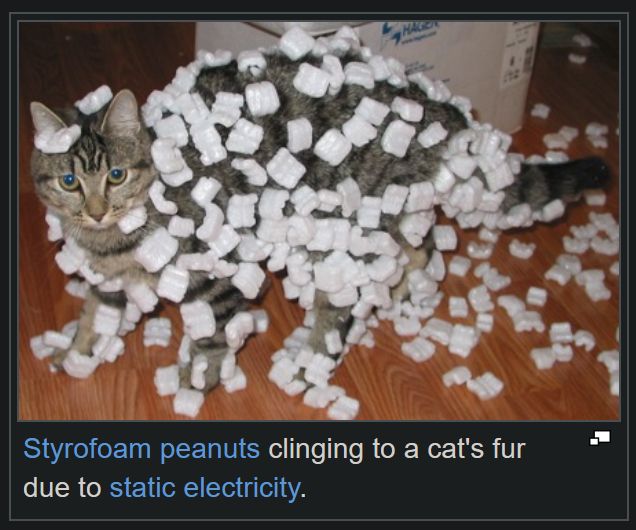 Styrofoam peanuts clinging to a cat's fur due to static electricity.