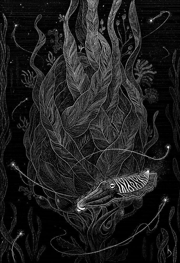 black and white illustration of a cuttlefish named ebb leaving home for an adventure.