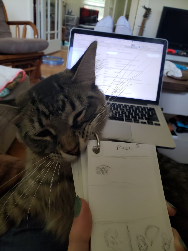 A hand holds a stack of index cards held together by a metal ring, which a tabby cat is attempting to bite. In the background is a laptop with a script document up; the beginning of a page layout has been sketched on the top index card.