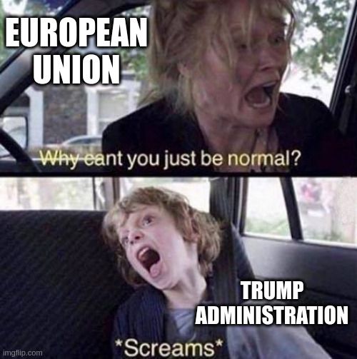 A scene from The Babadook film in which the main character turns to her son in her car and cries "Why can't you just be normal?" The child responds by shrieking.

The mother is labeled "European Union" and the child "Trump Administration".