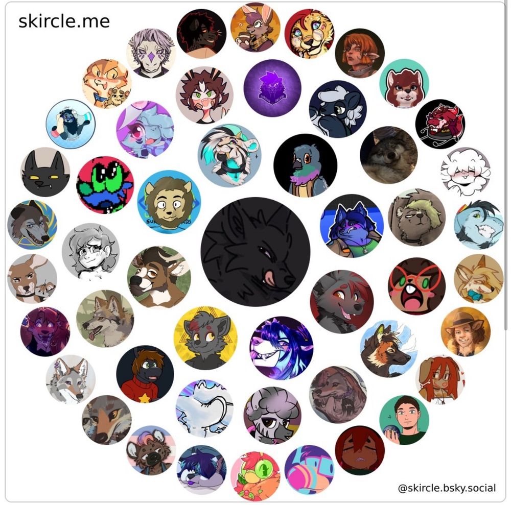A set of rings of profile pictures around my profile picture that represent which accounts are close to mine, from skircle.me