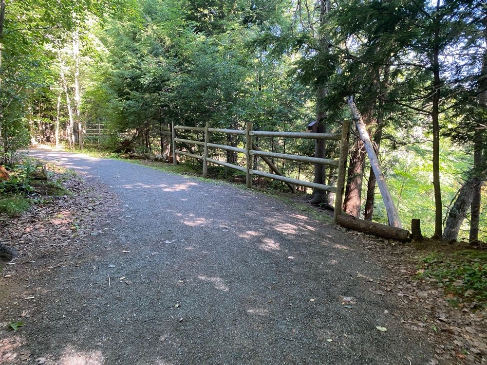 Trail on the edge of a ravine. Sunshine through the trees. Wooden guard railed fence on the right of picture. 