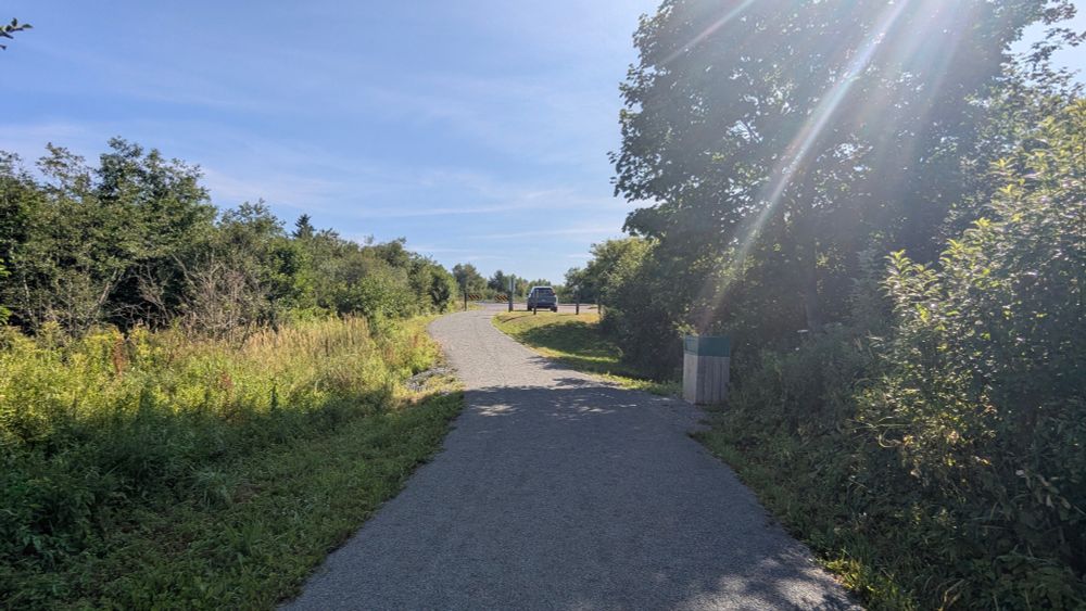 Shade in the foreground, sunshine in the distances on a gravel path. Gates and a car can be seen in the distance. Sunny day. Grass on one side and trees a little further back. Trees on the right hand side of the trail. 