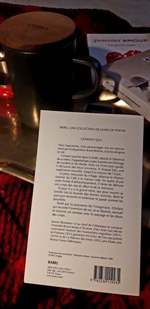 4ème de couverture du livre de Jeanne Benameur, "L'enfant qui". Collection Babel de chez Actes Sud. 