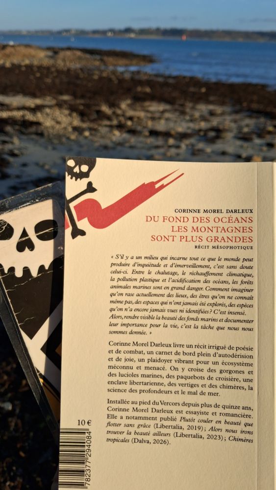 4ème de couverture du livre de Corinne Morel Darleux :
" Du fond des océans les montagnes sont plus grandes ".
Éditions Libertalia. 
Photo prise dans une crique en Bretagne Nord. 
La mer est basse et il fait beau. Il y a du goémon partout !
