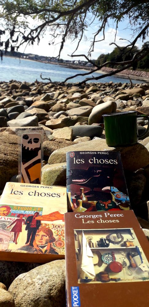 Couvertures de trois versions du même livre :
" Les choses " de Georges Perec. 
Photo prise sur une grève au bord de la mer en Bretagne Nord avec une tasse de thé noir sous les acacias. 
