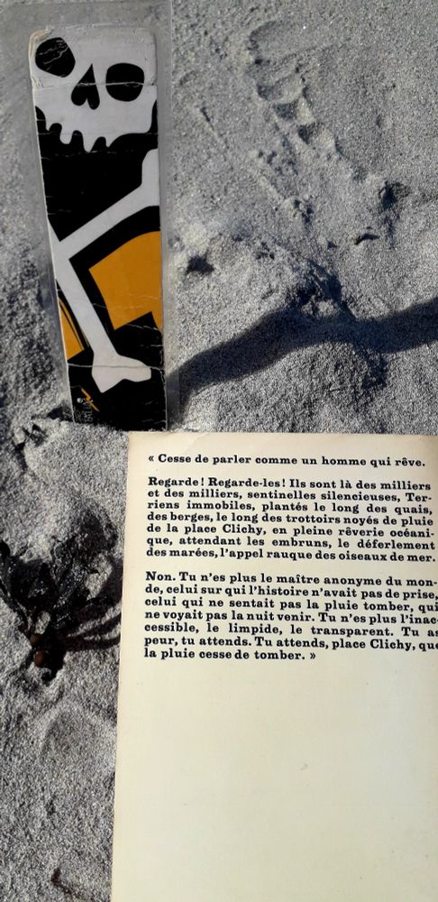 4ème de couverture du livre de Georges Perec :
" Un homme qui dort ".
Photo prise sur une plage en Bretagne Nord. 
