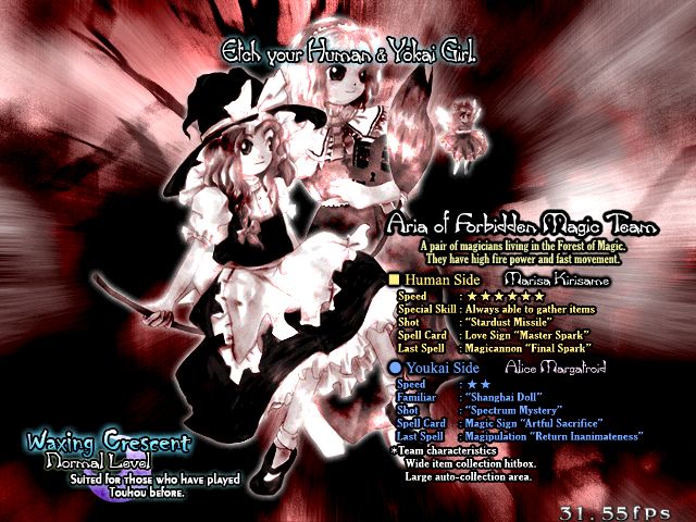 The actual Touhou 8: Imperishable Night character select screen, set to the team of Marisa and Alice.

The text is below, and I hope everyone appreciates me re-transcribing it:
Etch your Human & Yokai Girl.

Aria of Forbidden Magic Team
A pair of magicians living in the Forest of Magic.
They have high fire power and fast movement.

🟨 Human Side Marisa Kirisame
Speed: ******
Special Skill: Always able to gather items
Shot: "Stardust Missile"
Spell Card: Love Sign "Master Spark"
Last Spell: Magicannon "Final Spark"

🔵 Youkai Side Alice Margatroid
Speed: **
Familiar: "Shanghai Doll"
Shot: "Spectrum Mystery"
Spell Card: "Magic Sign "Artful Sacrifice"
Last Spell: Magipulation "Return Inanimateness"
* Team Characteristics
 Wide item collection hitbox.
 Large auto-collection area.

Waxing Crescent
Normal Level
Suited for those who have played Touhou before.