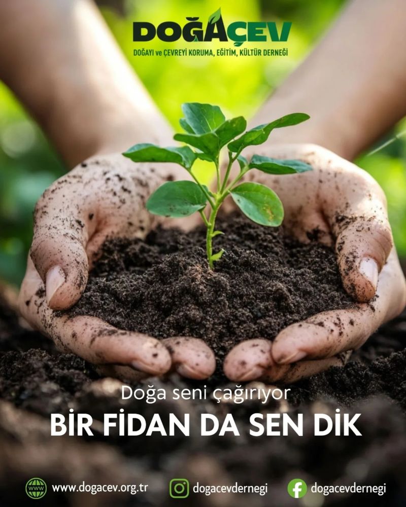 Kamu Spotu : Doğaçev Fidan Bağışı. Bir Fidan, Bir Umut!

Doğa İçin Küçük Bir Adım Gelecek İçin Büyük Bir Nefes Doğaçev Olarak Fidan Bağışı Kampanyamızı Başlatıyoruz.

Her Bağış, Toprağa Yeni Bir Can Yarınlara Nefes Oluyor Sen de Bu İyilik Hareketine Katıl, Doğaya Bir İz Bırak!