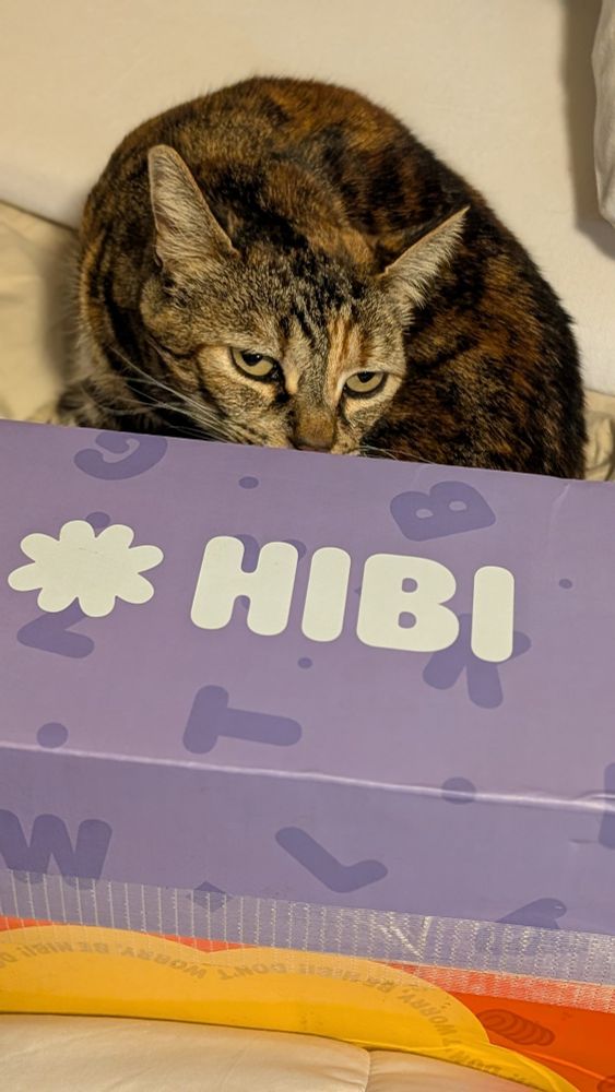 Winnie the tabby cat is sniffing a purple box with the logo of the keyboard vendor HIBI