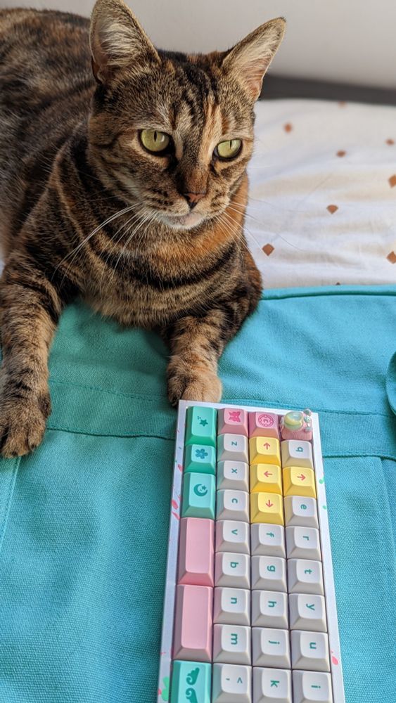 Winnie the tabby cat sitting next to a Gridiron 40% keyboard. Winnie and the keyboard are sitting on top of a teal tote bag and the keyboard has pink, green, and yellow keycaps from the DSA Magic Girl keycap set.