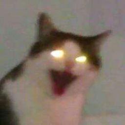 An edited photo of a cat with its mouth wide open and eyes glowing, as though demonic.