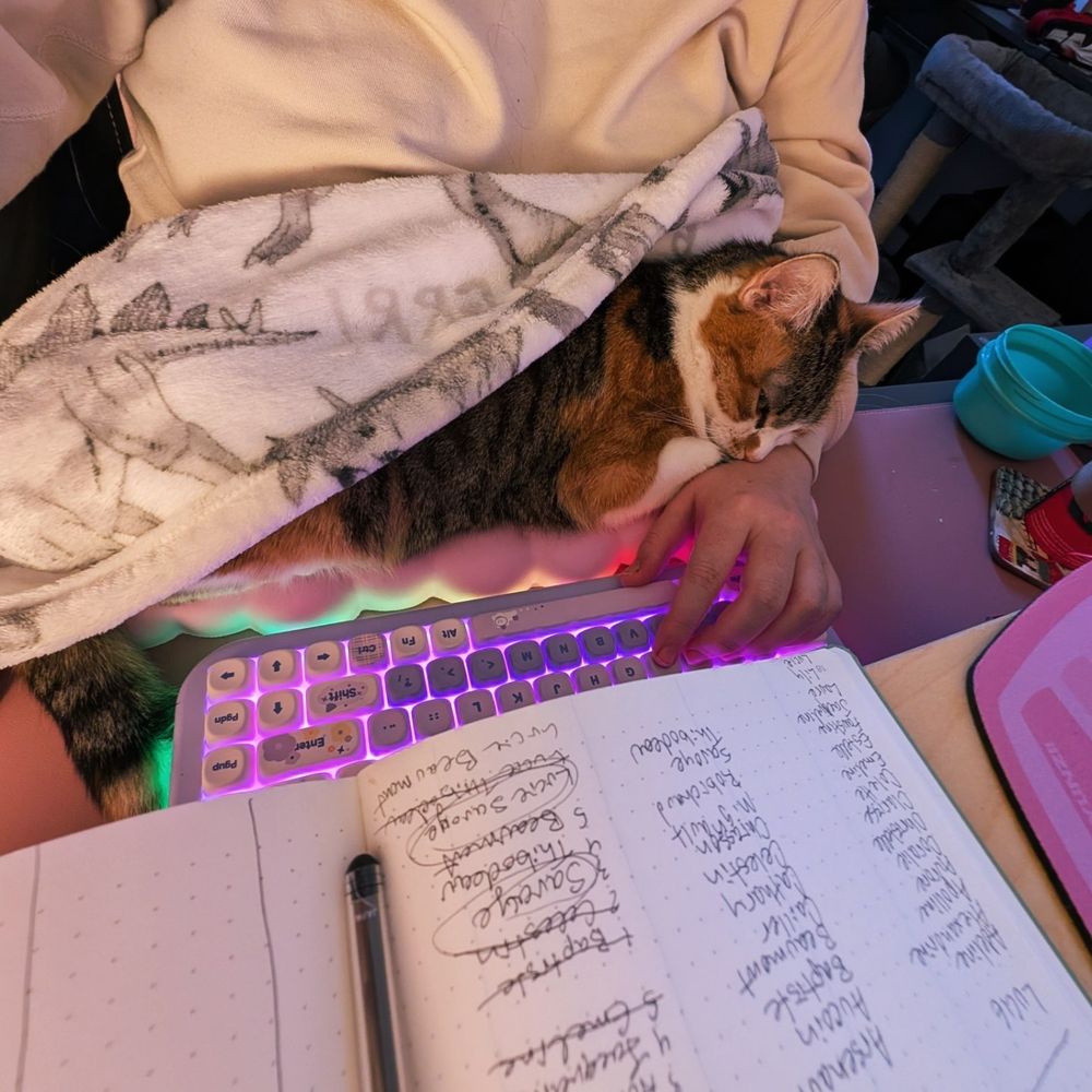 A calico cat tucked into a dinosaur print blanket while on a person's lap at a desk as they try to type.