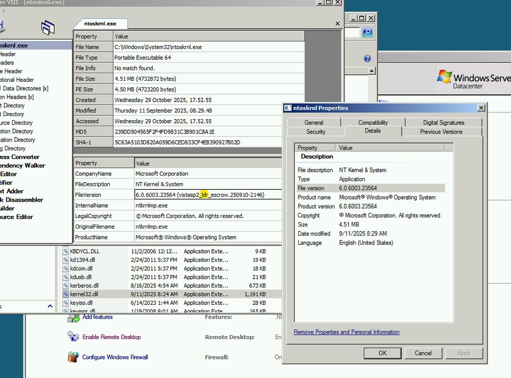 a screenshot of cff explorer showing the file version of ntoskrnl.exe from server 2008's october update. the version number is '6.0.6003.23564 (vistasp2_ldr_escrow.250910-2146), and the text 'ldr' is highlighted