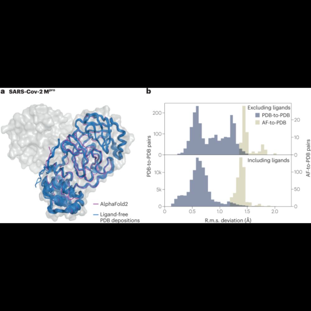 Protein structure prediction has reached the single-structure frontier - Nature Methods