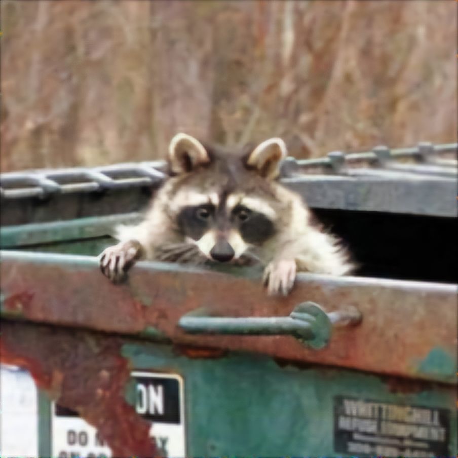 Racoon crawling out of a rusted dumpster