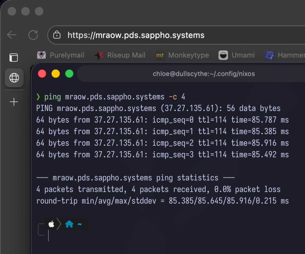 Screenshot showing a wildcard subdomain having an SSL certificate, as well as the ping command showing the wildcard subdomain is protected with Bunny.net's CDN acceleration feature.