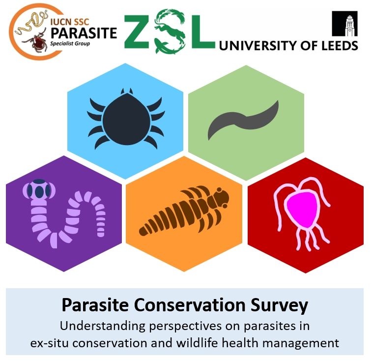 A logo for the University of Leeds parasite conservation survey featuring 5 coloured hexagons containing icons of different parasites such as ticks, worms and protozoa.