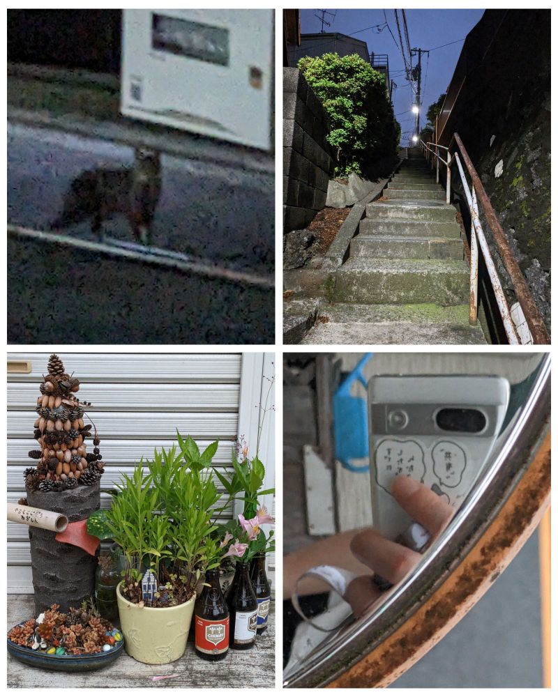 真っ暗の明け方に散歩する猫。知らない道の階段。なんか小学校の企画で不気味なおかんアート作ってて、どんぐりでジブリみたいなミニチュアや百鬼夜行かとみまがう灯籠があって正直怖い。ミラーに映る僕のスマホ。