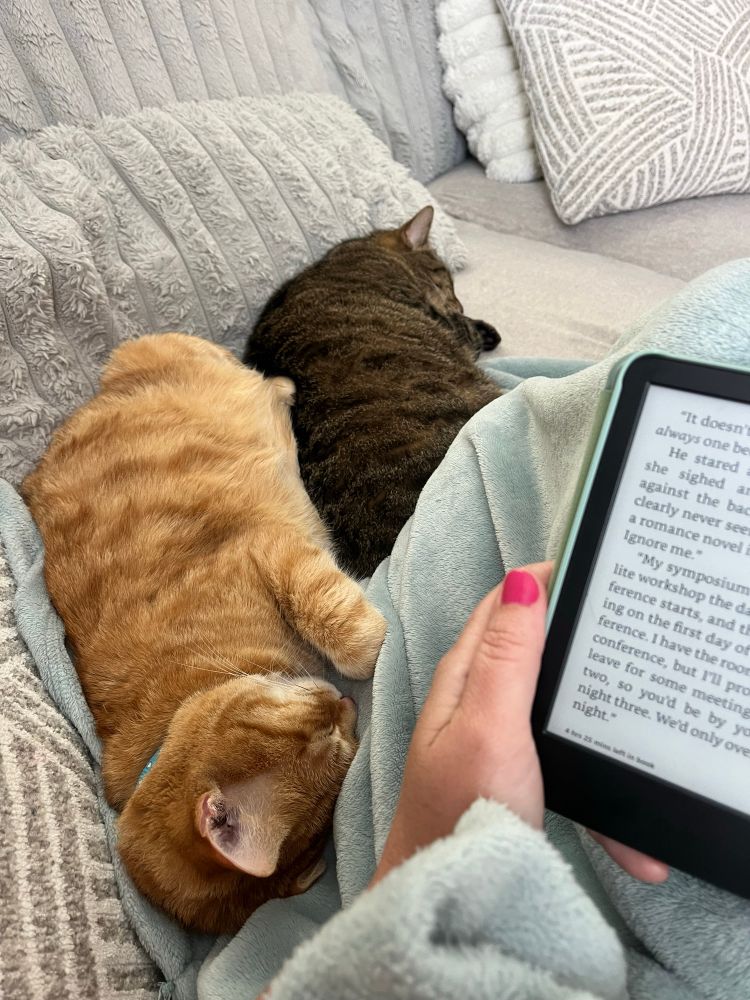A picture of two cats snuggled next to their human who is reading from a kindle. 