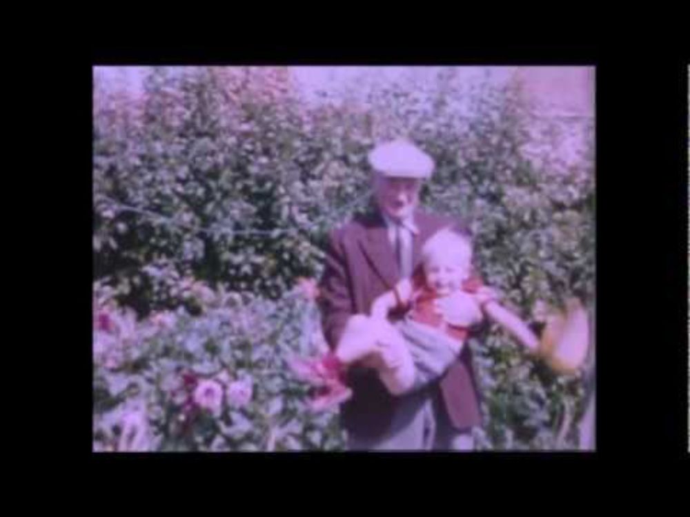Kapitan Korsakov - In the Shade of the Sun (music video)