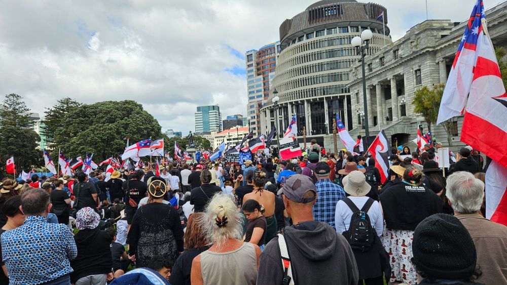 The hikoi gathered outside the Parliament building in Wellington, thousands strong.