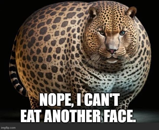 A fat leopard saying "Nope, I can't eat another face" 