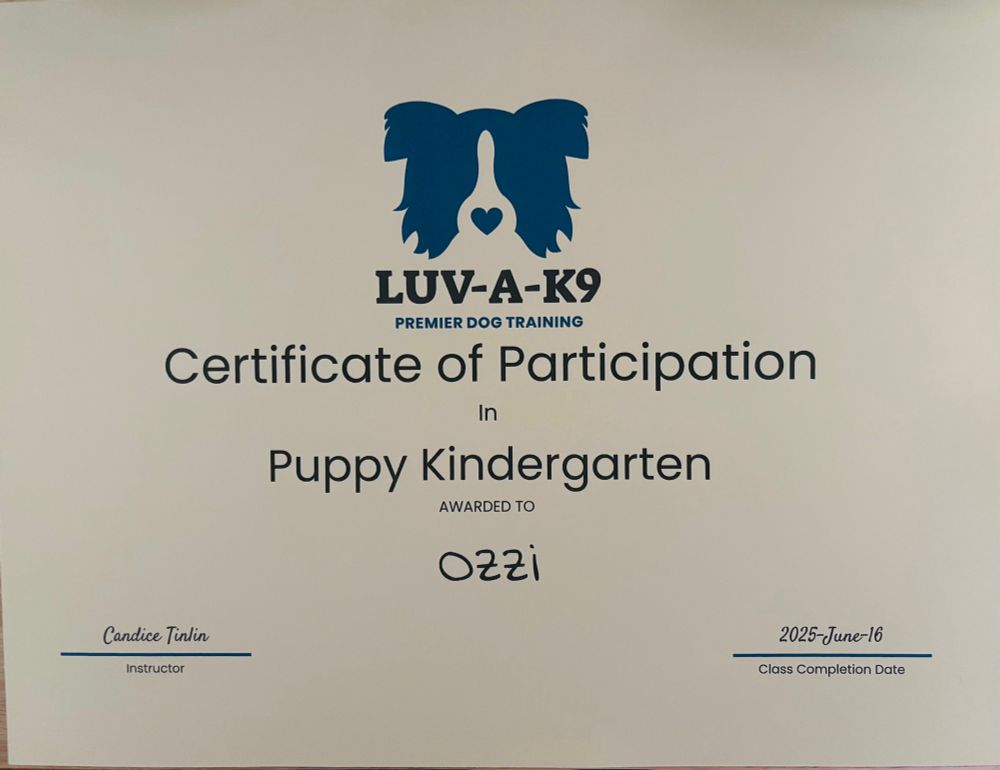 Ozzi puppy diploma 