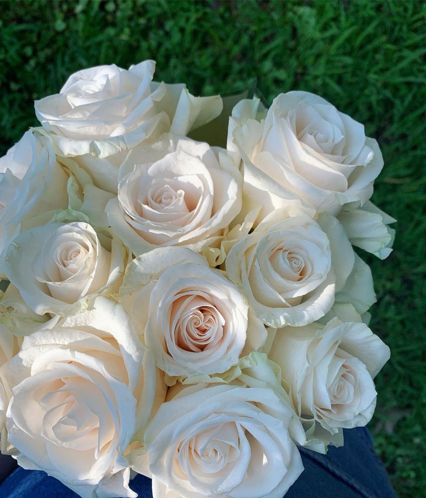a bouquet of white roses
