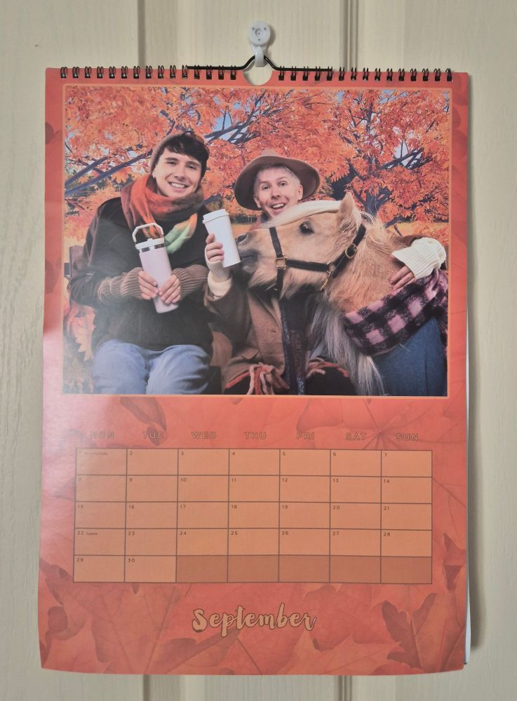 the dan and phil 2025 calendar for september. it's dan and phil against an autumn backdrop with a tiny tiny horse happily trying to investigate phil's drink